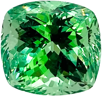 8.51ct Cushion Mint Garnet
