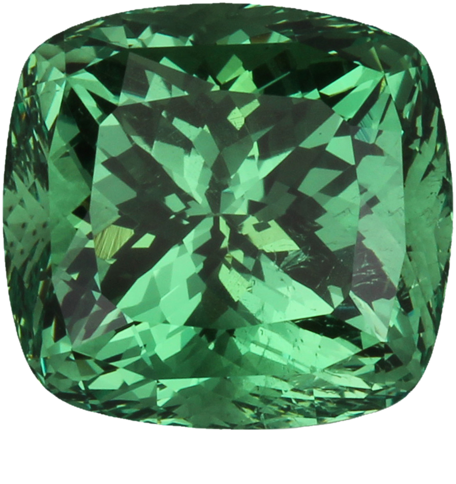 8.51ct Cushion Mint Garnet