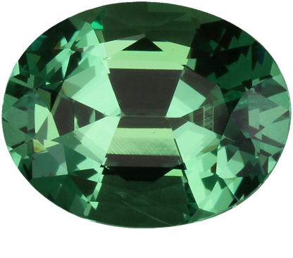 4.9ct Oval Mint Garnet
