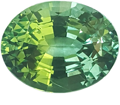 4.9ct Oval Mint Garnet