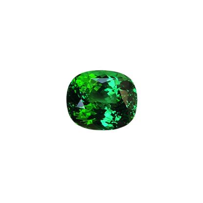 9.16ct Cushion Fine Intense Green Tsavorite