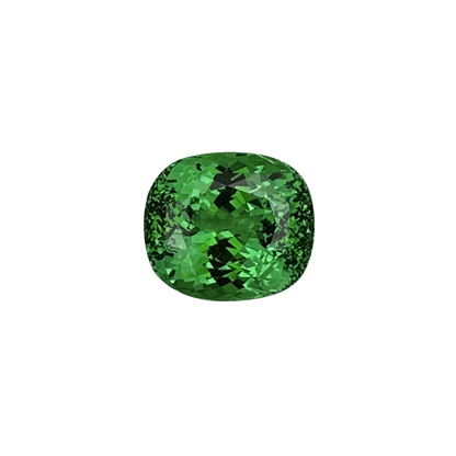 9.16ct Cushion Fine Intense Green Tsavorite
