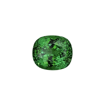 9.16ct Cushion Fine Intense Green Tsavorite