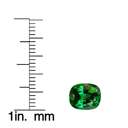 Cushion Gem Quality - Fine Intense Green Tsavorite