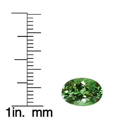 2.63ct Oval Bright Green Tsavorite