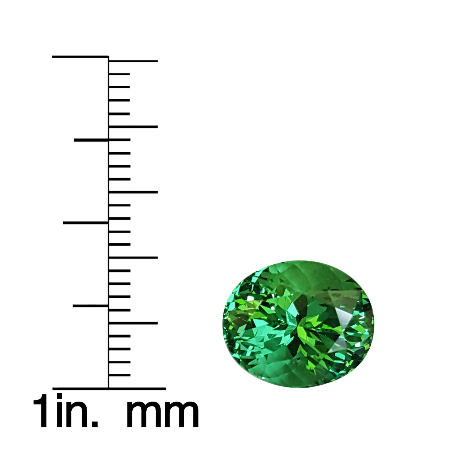 5.54ct Oval Mint Tsavorite Garnet