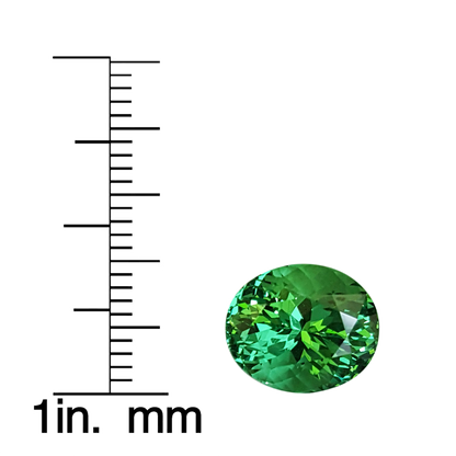 5.54ct Oval Mint Tsavorite Garnet