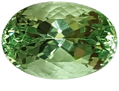 3.6ct Oval Mint Garnet