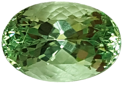 3.6ct Oval Mint Garnet