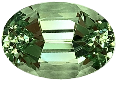 3.6ct Oval Mint Garnet