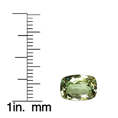 3.41ct Cushion Mint Garnet