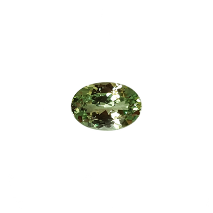 3.73ct Oval Mint Garnet