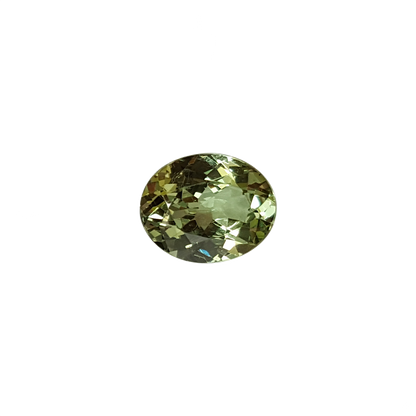 3.58ct Oval Mint Garnet