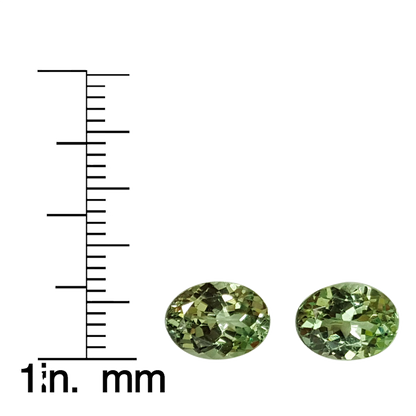 8.9x6.9mm Oval Mint Garnet Pair