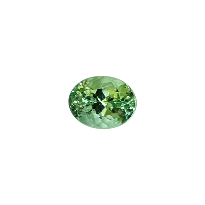 3.16ct Oval Mint Garnet