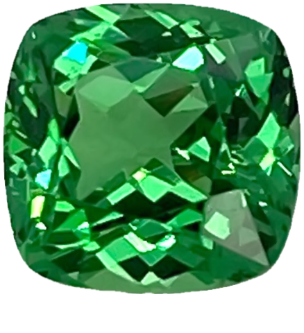 2.76ct Cushion Gem Quality - Fine Intense Green Tsavorite