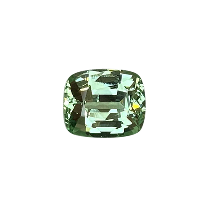 2.44ct Cushion Mint Garnet