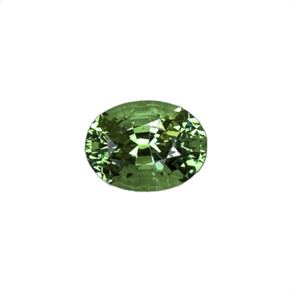 11.41ct Oval Mint Garnet