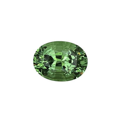 11.41ct Oval Mint Garnet