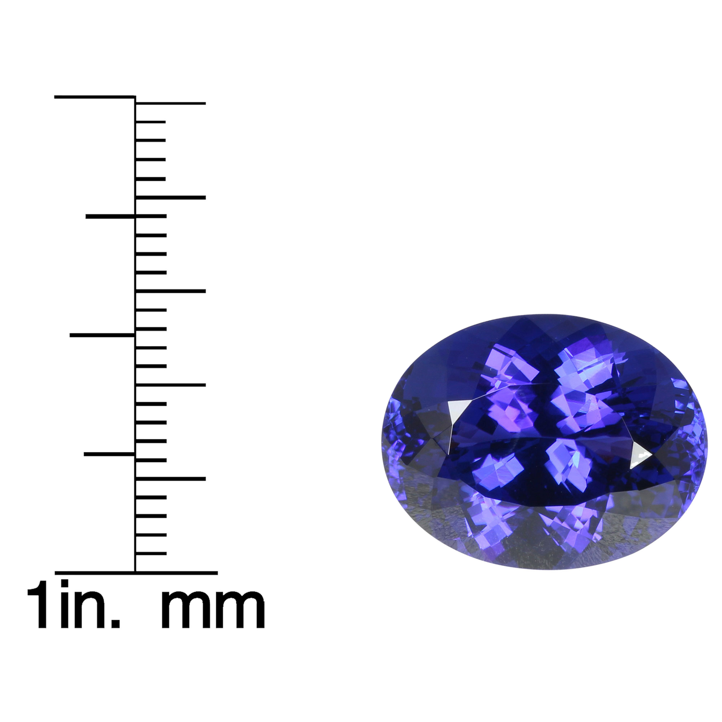 15.43ct Oval AAA Color Tanzanite