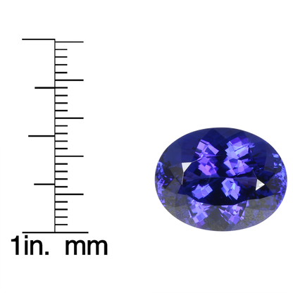 15.43ct Oval AAA Color Tanzanite