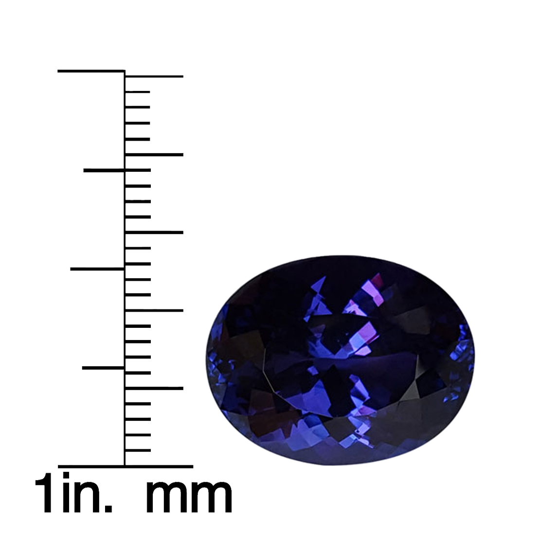 15.43ct Oval AAA Color Tanzanite