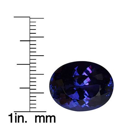 15.43ct Oval AAA Color Tanzanite