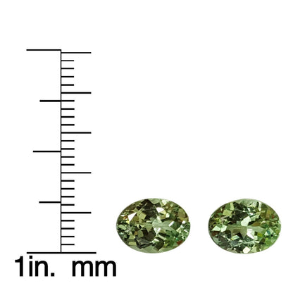 8.9x6.9mm Oval Mint Garnet Pair