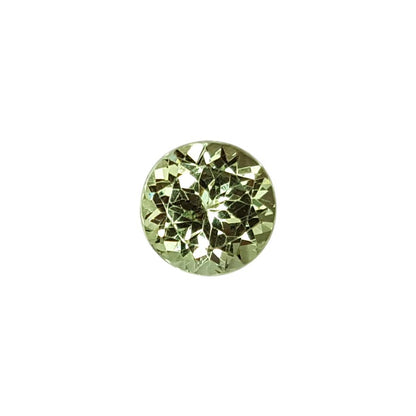 3.26ct Round Mint Garnet