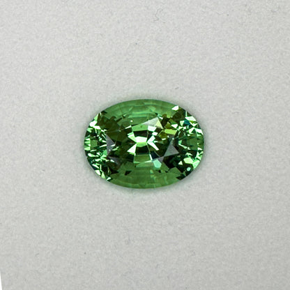 11.41ct Oval Mint Garnet