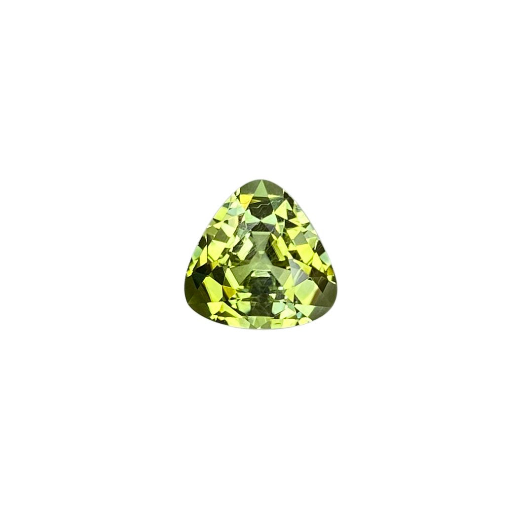 9.2mm Trillion Bi-Color Tourmaline