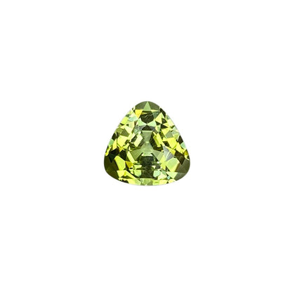9.2mm Trillion Bi-Color Tourmaline