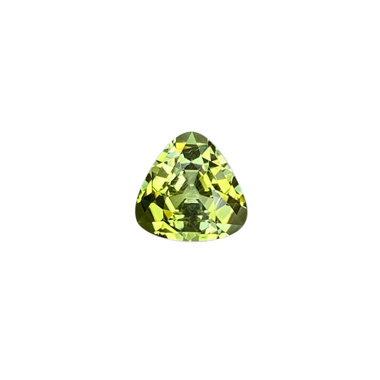 9.2mm Trillion Bi-Color Tourmaline