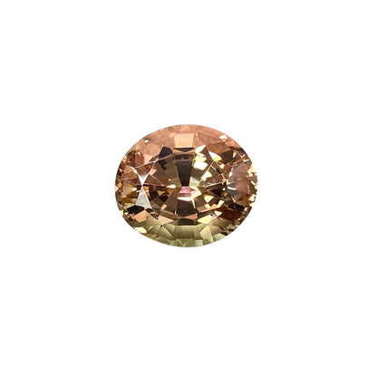 9.34ct Oval Bi-Color Tourmaline