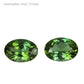 Mint Green Tourmaline Pair