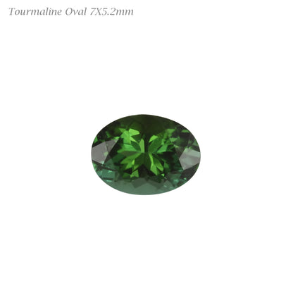 Medium Blue-Green Tourmaline