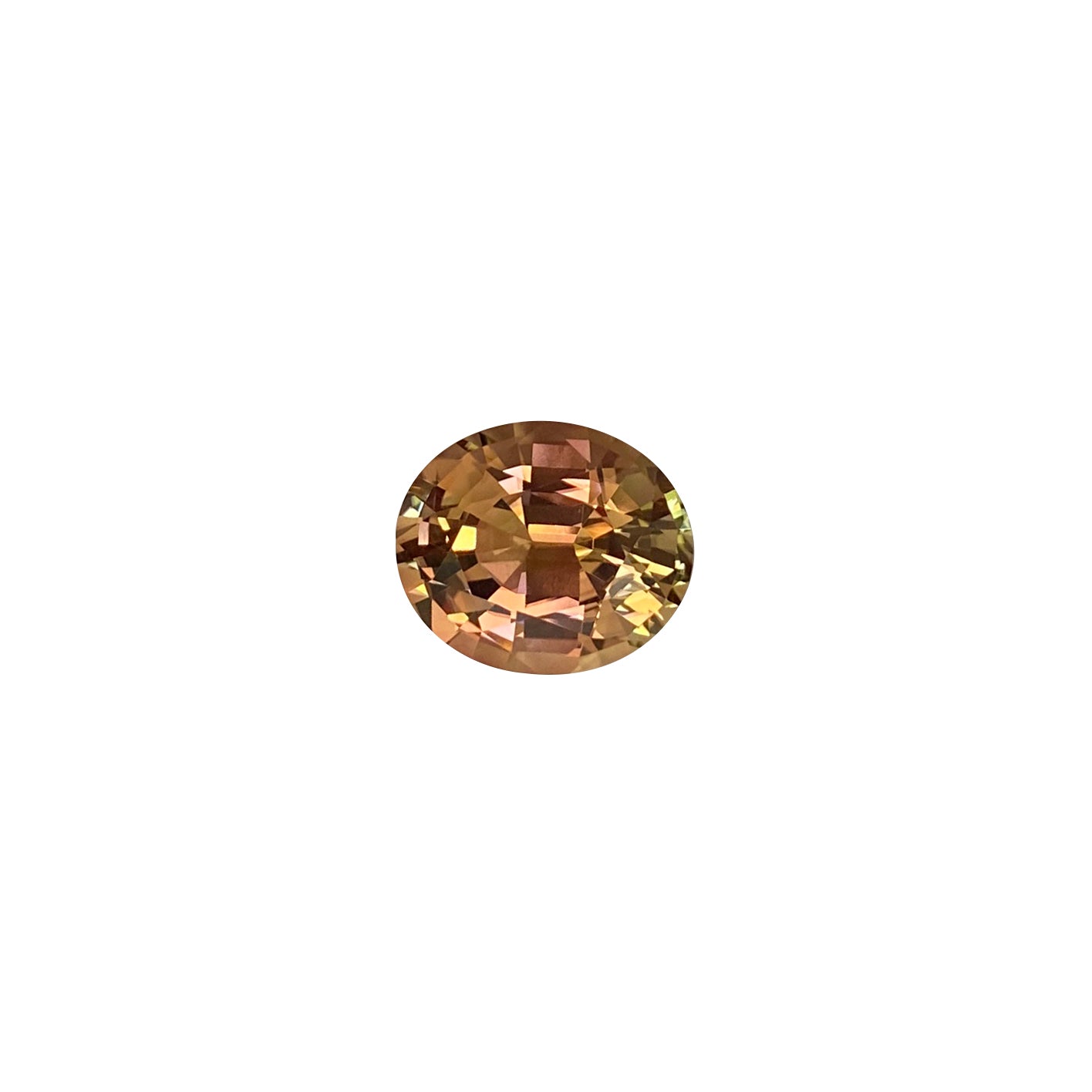 Bi-Color Tourmaline