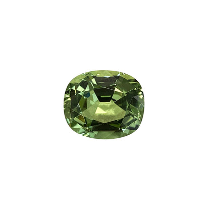 Mint Green Tourmaline